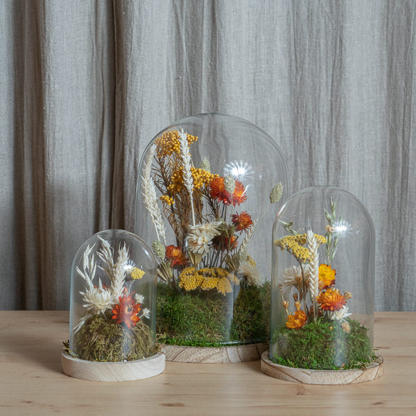 Fanal Flores Preservadas 3