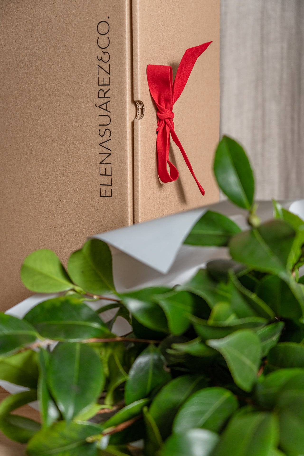 Paquete de Camelia 2