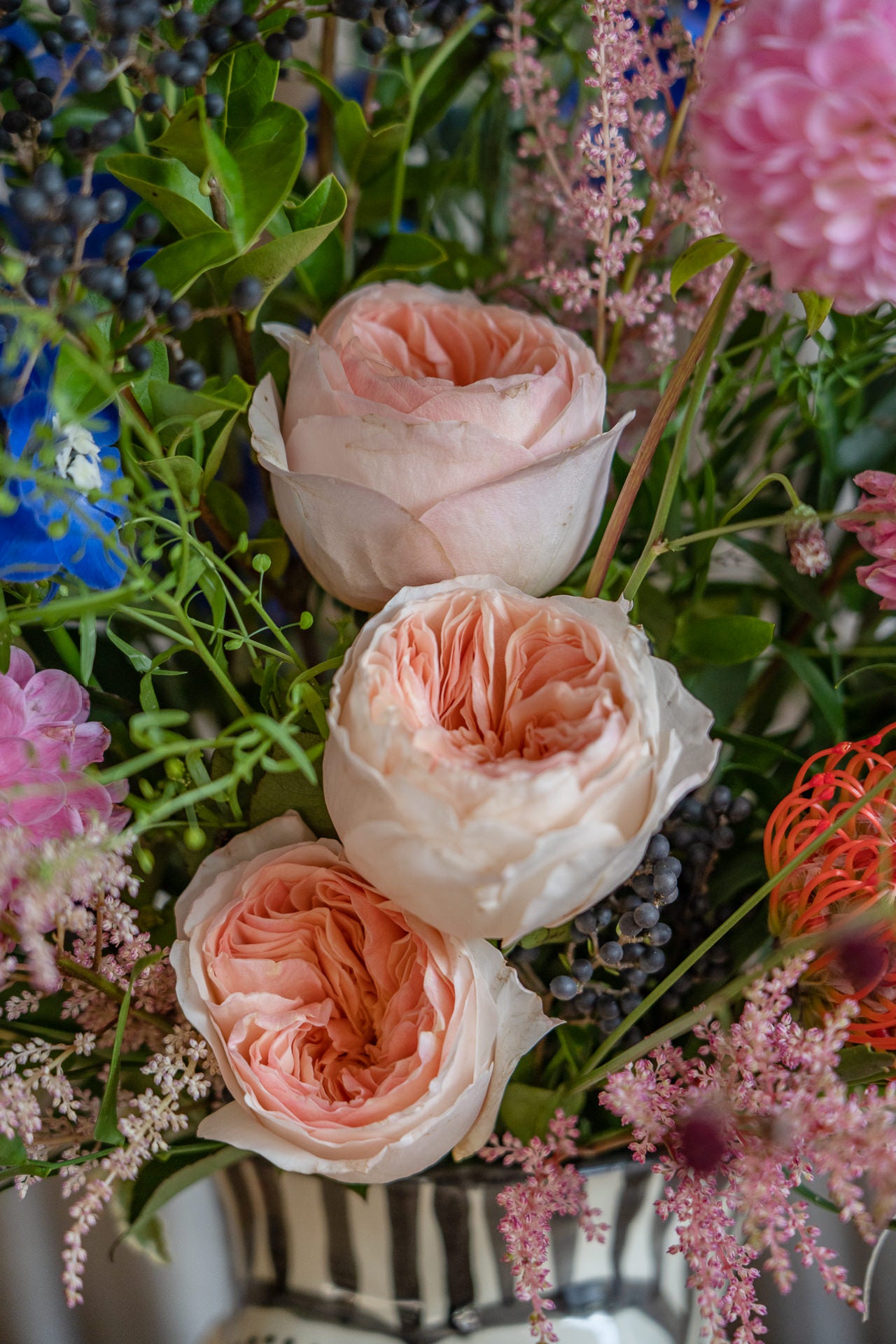 Titi con Flores Frescas 7