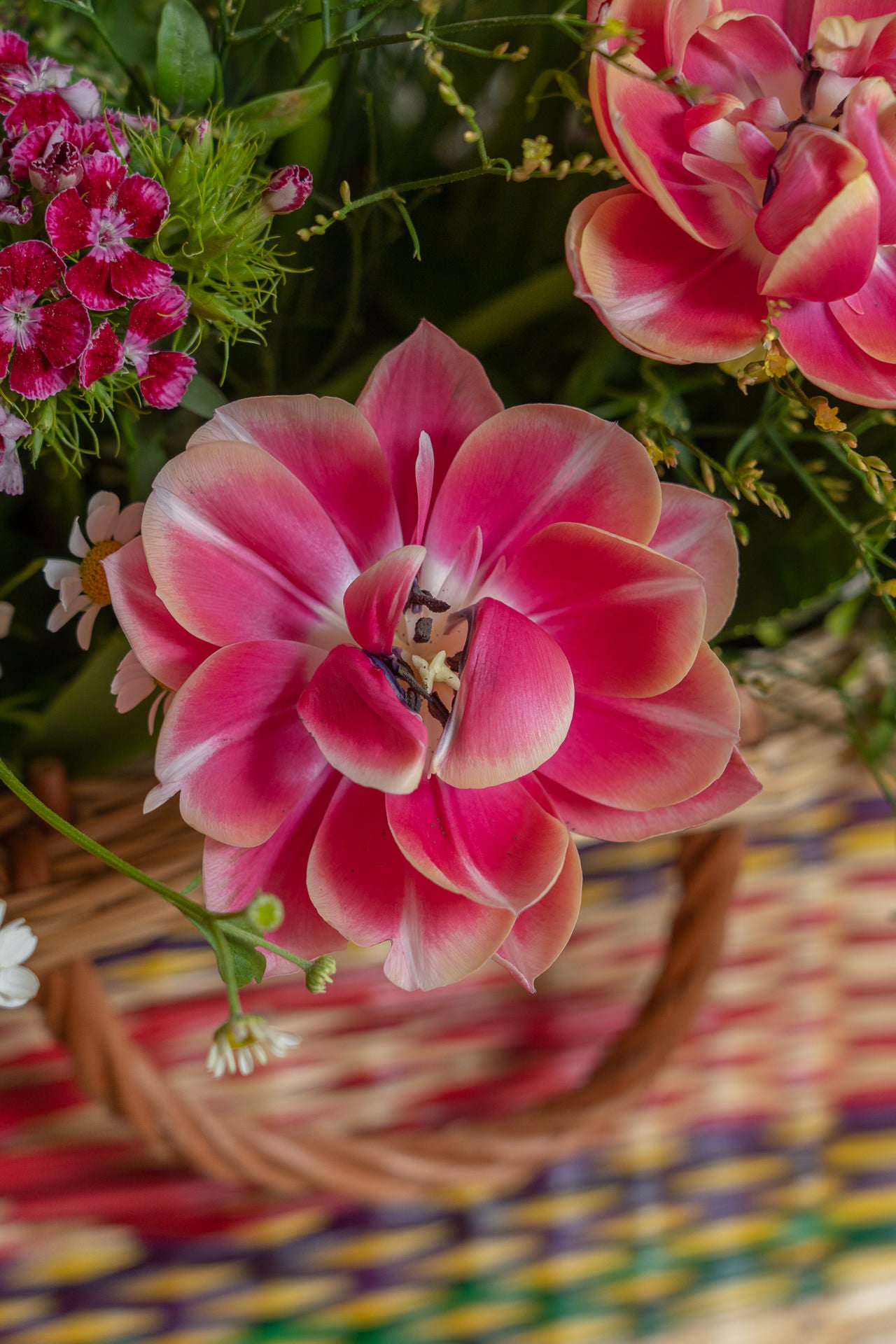 Bolsos Portugueses con Flores de Temporada 2
