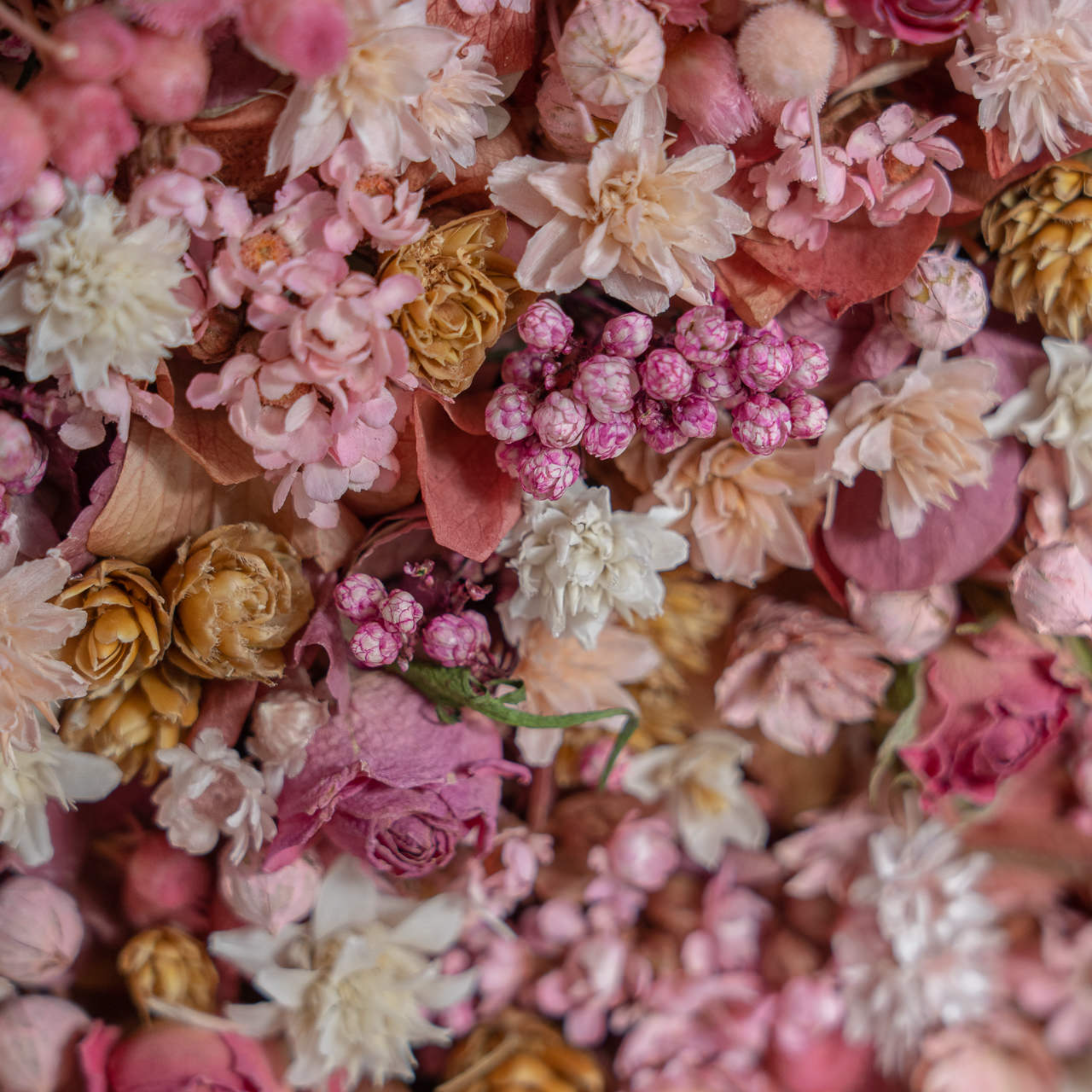 Estrella de flores 5