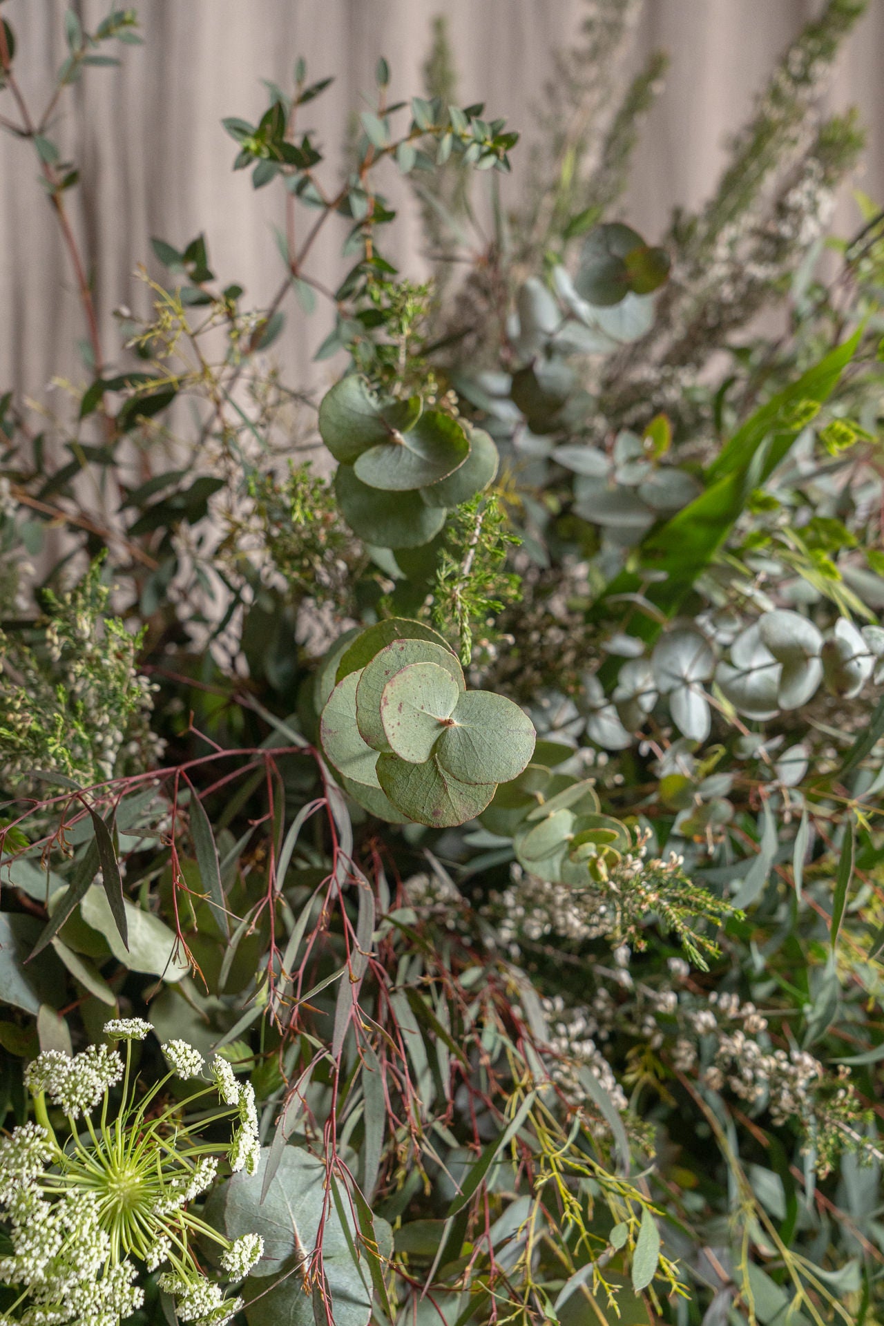 Corona con Verdes de Temporada 4
