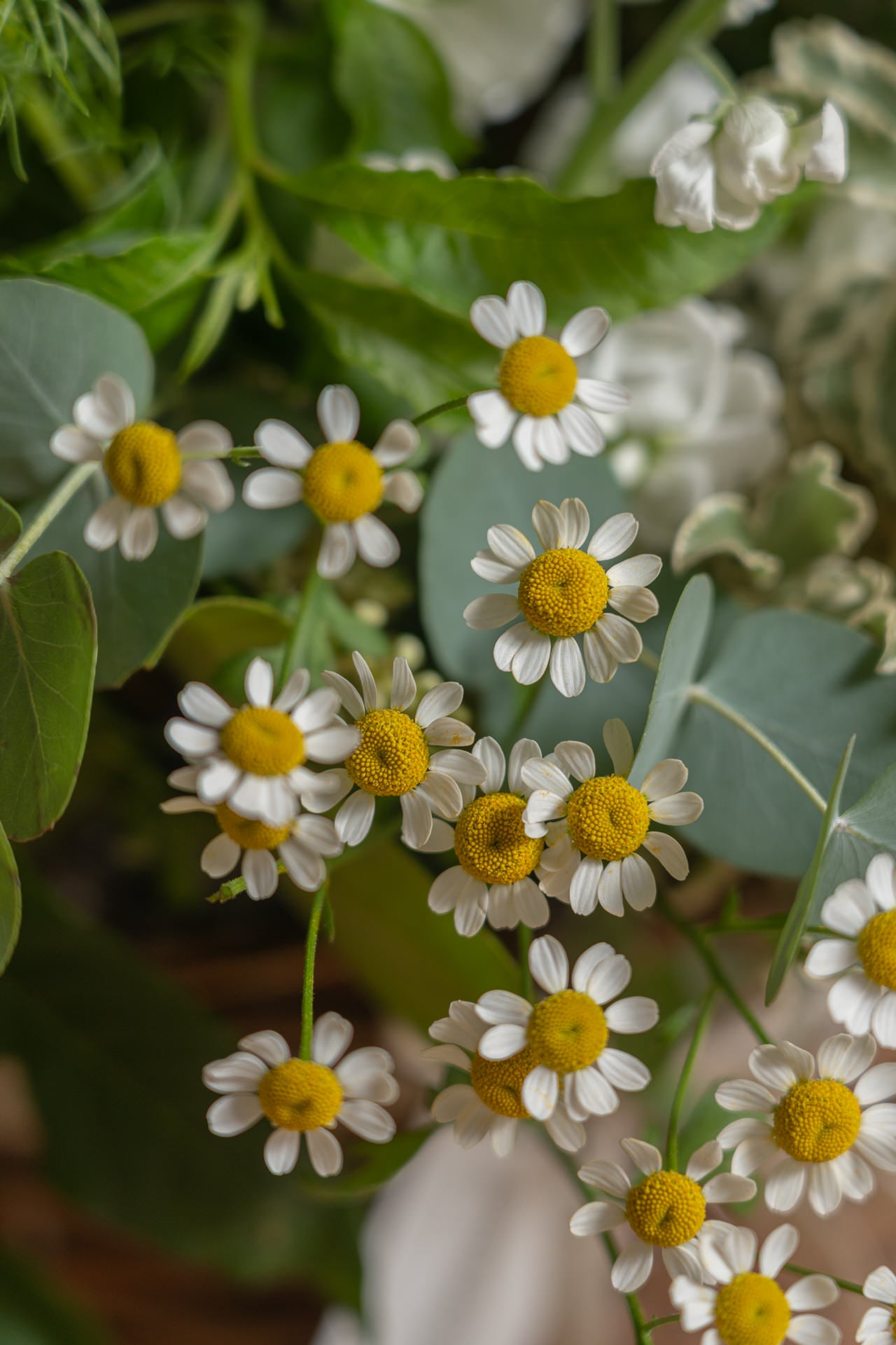Cesto de Mimbre Flores Frescas 9