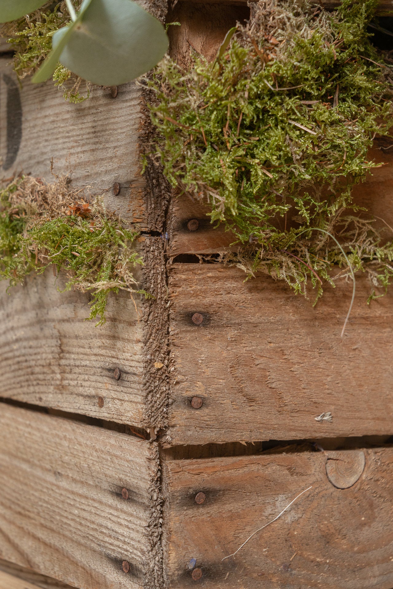 Caja de Fruta Antigua Grande 5