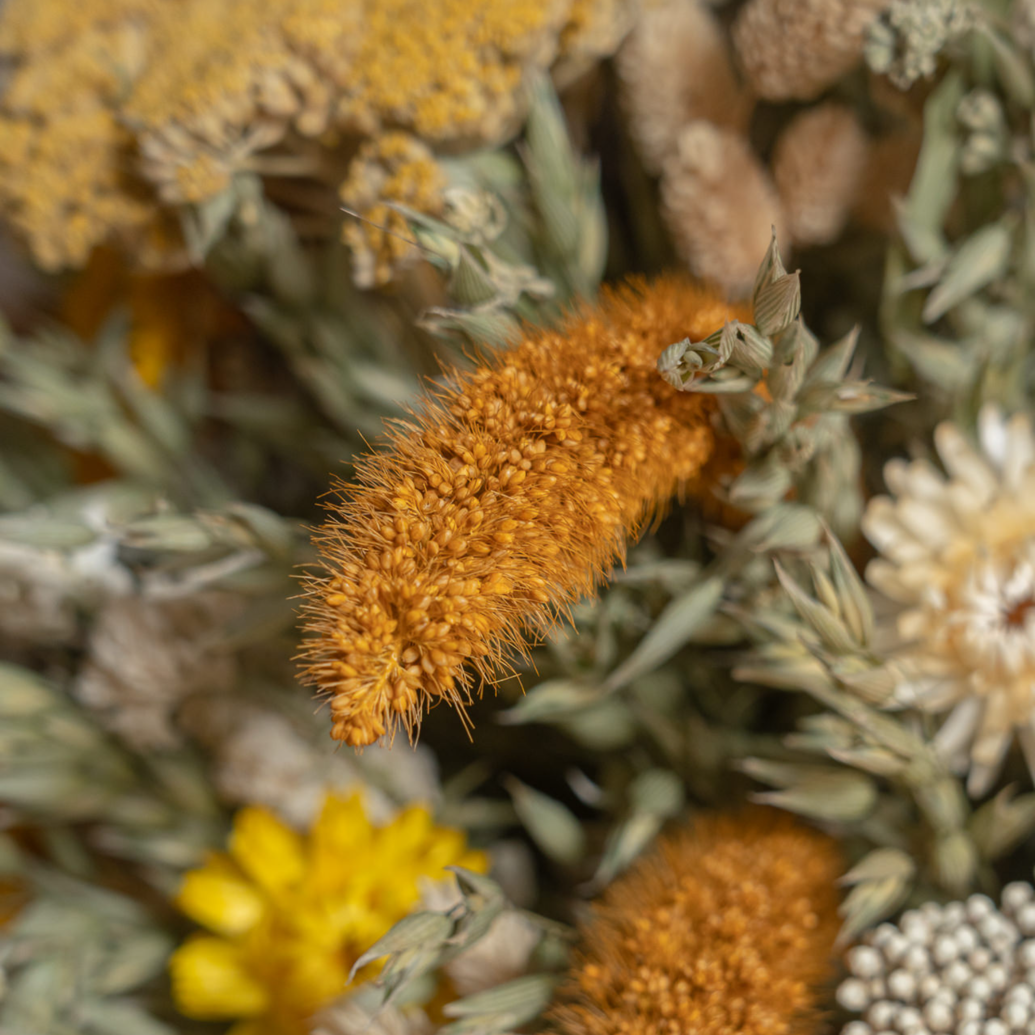 Caja de Madera Flores Preservadas 7