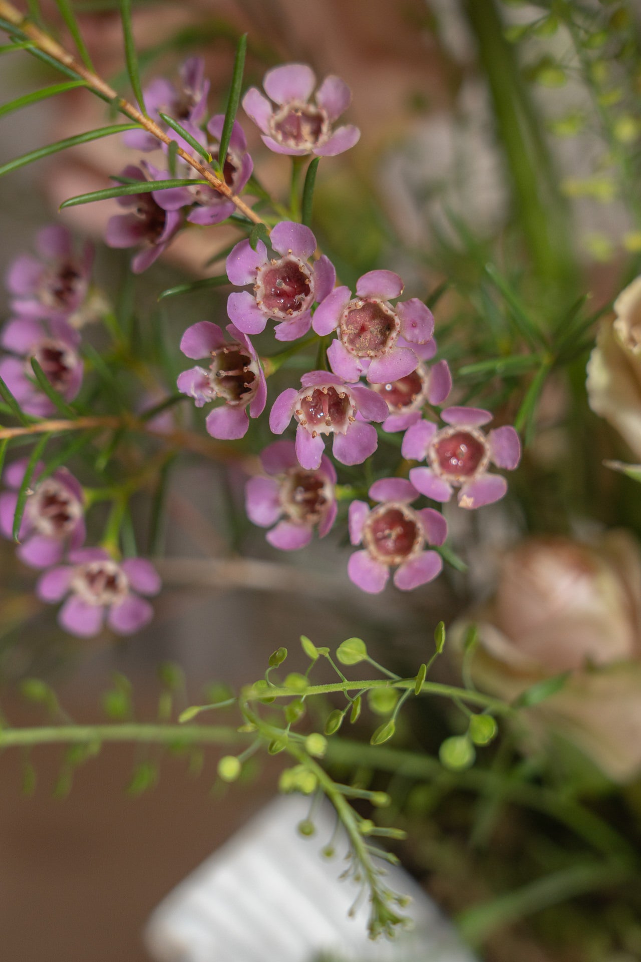 Capricho con flores frescas 5