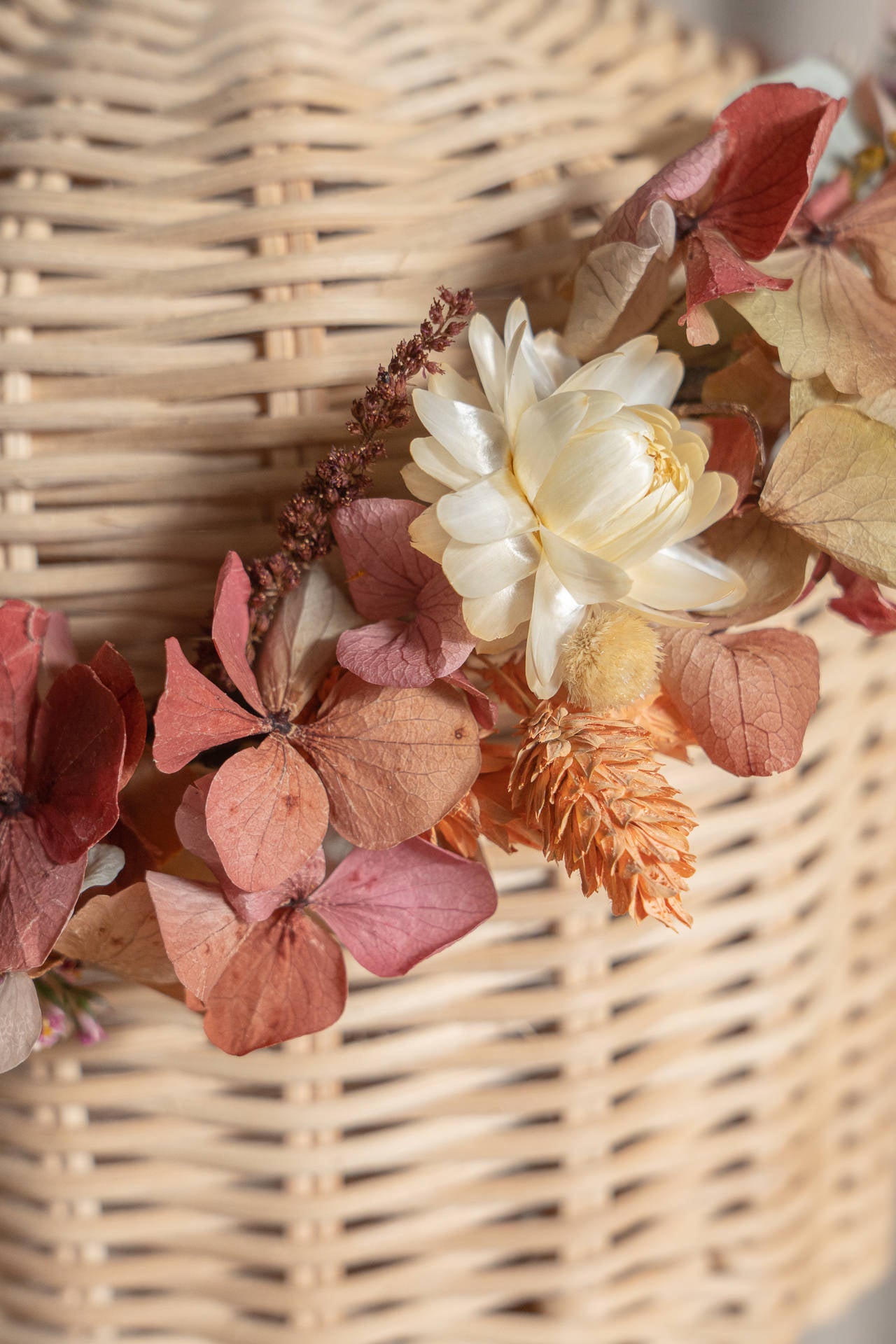 Coronita flores salmón preservadas 4