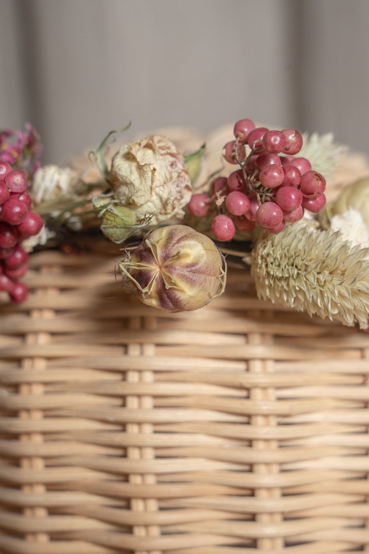 Coronita falsa pimienta 2