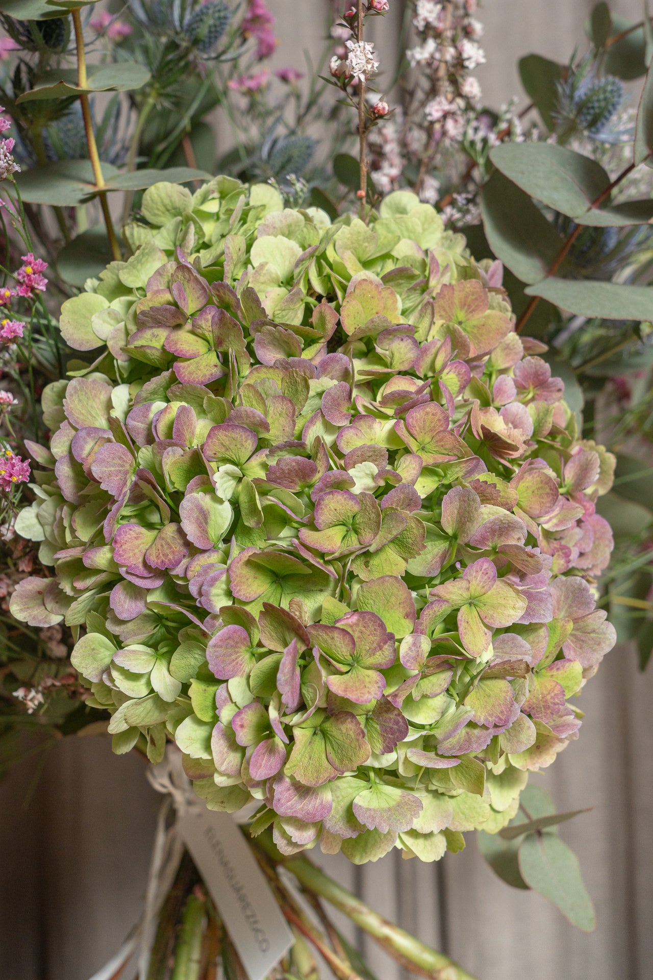 Ramo de Hortensias y Flores Silvestres para secar 2