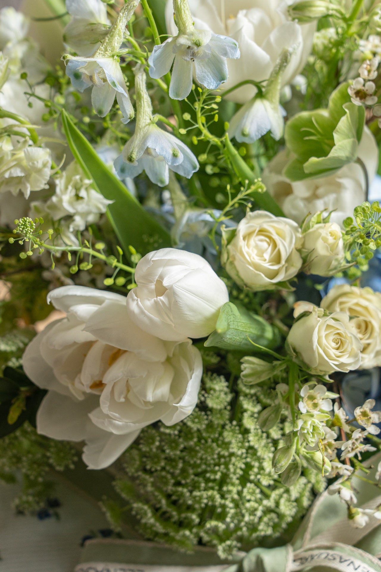 Caja Premium Birinit Petit 5