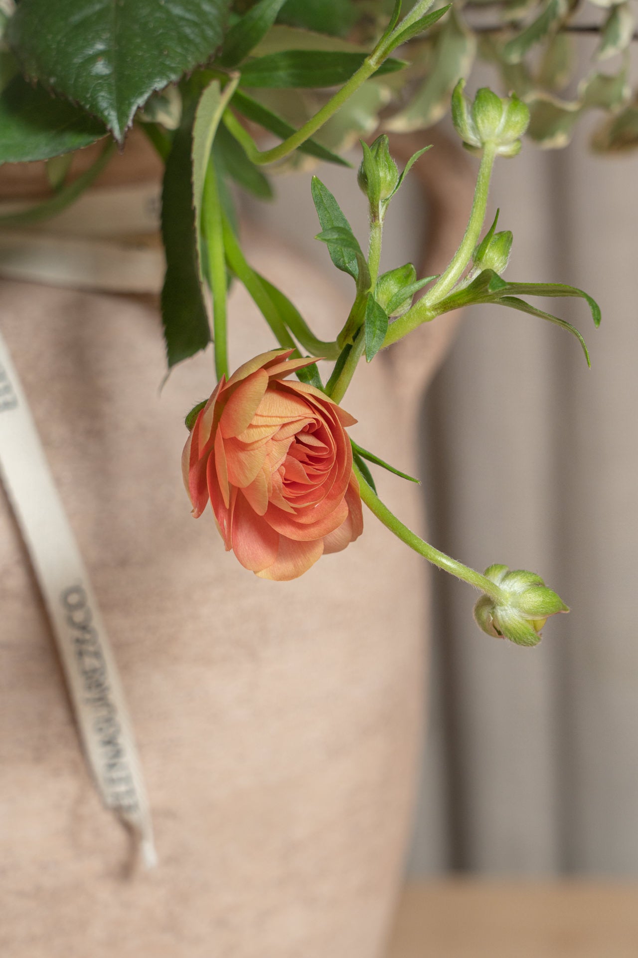 Jarrón Ánfora marrón Especial Día de la Madre 4