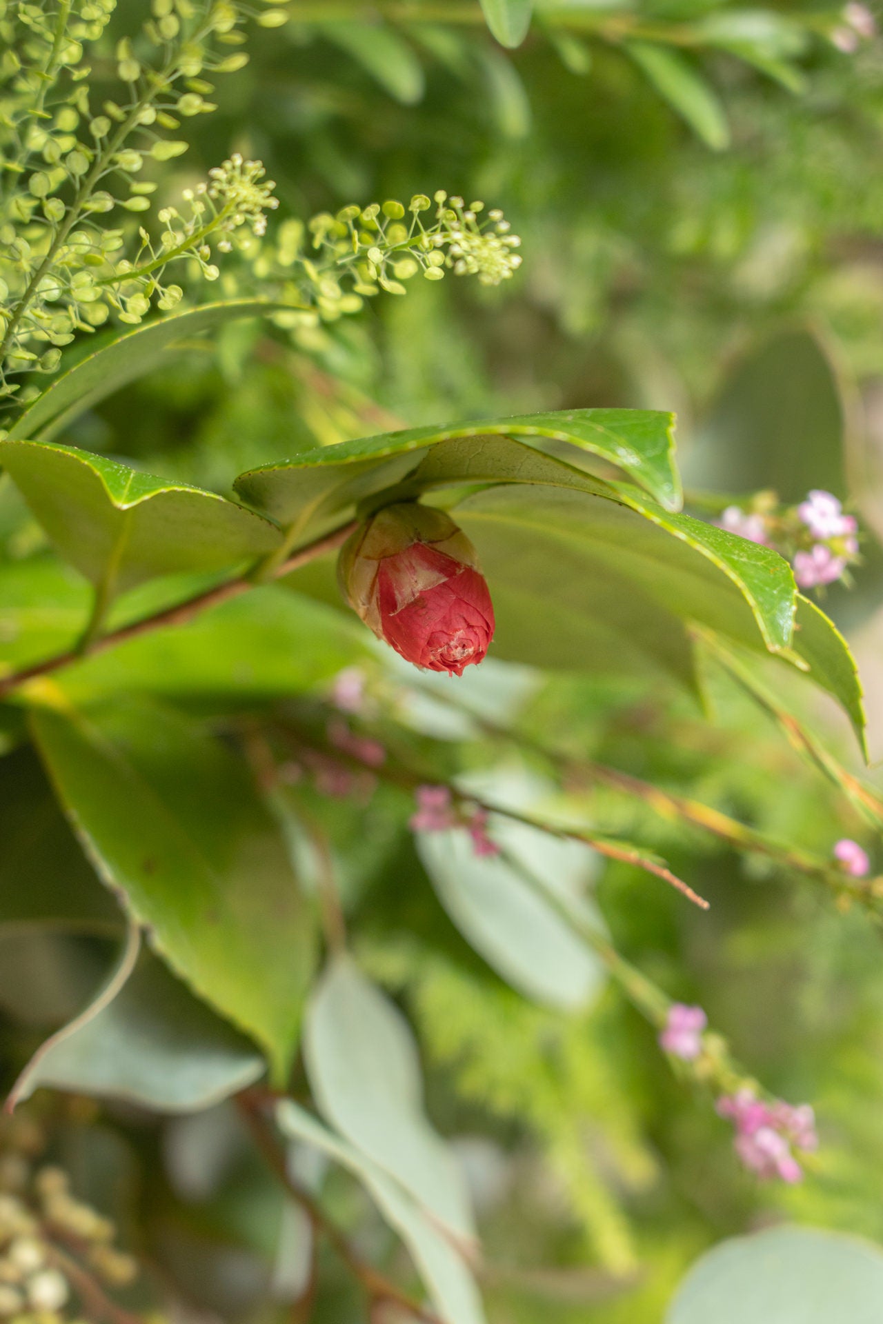 Jarrón de Madera con Verdes de Temporada 4