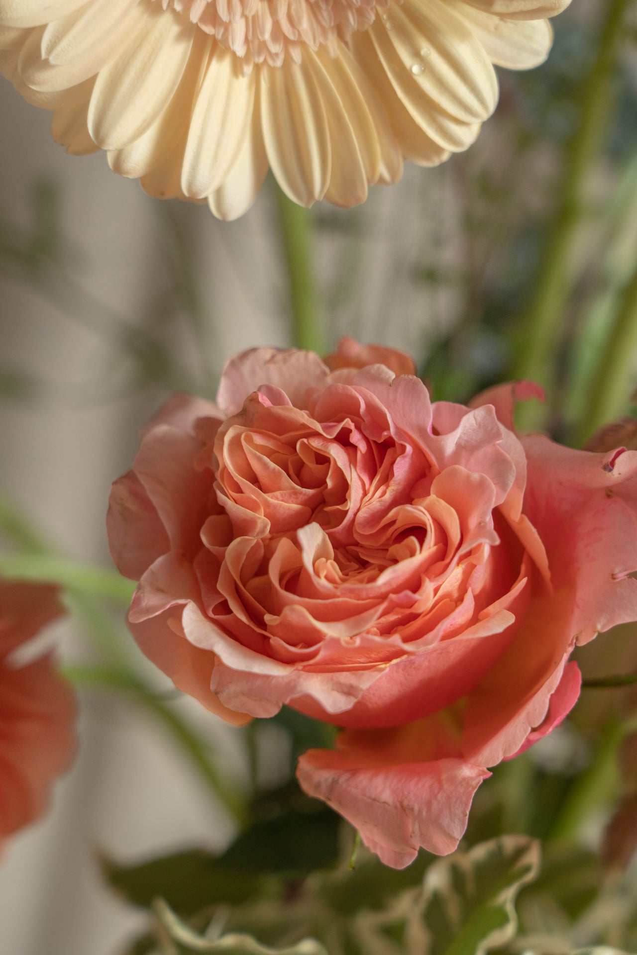 Jarrón Probeta Especial Día de la Madre 8