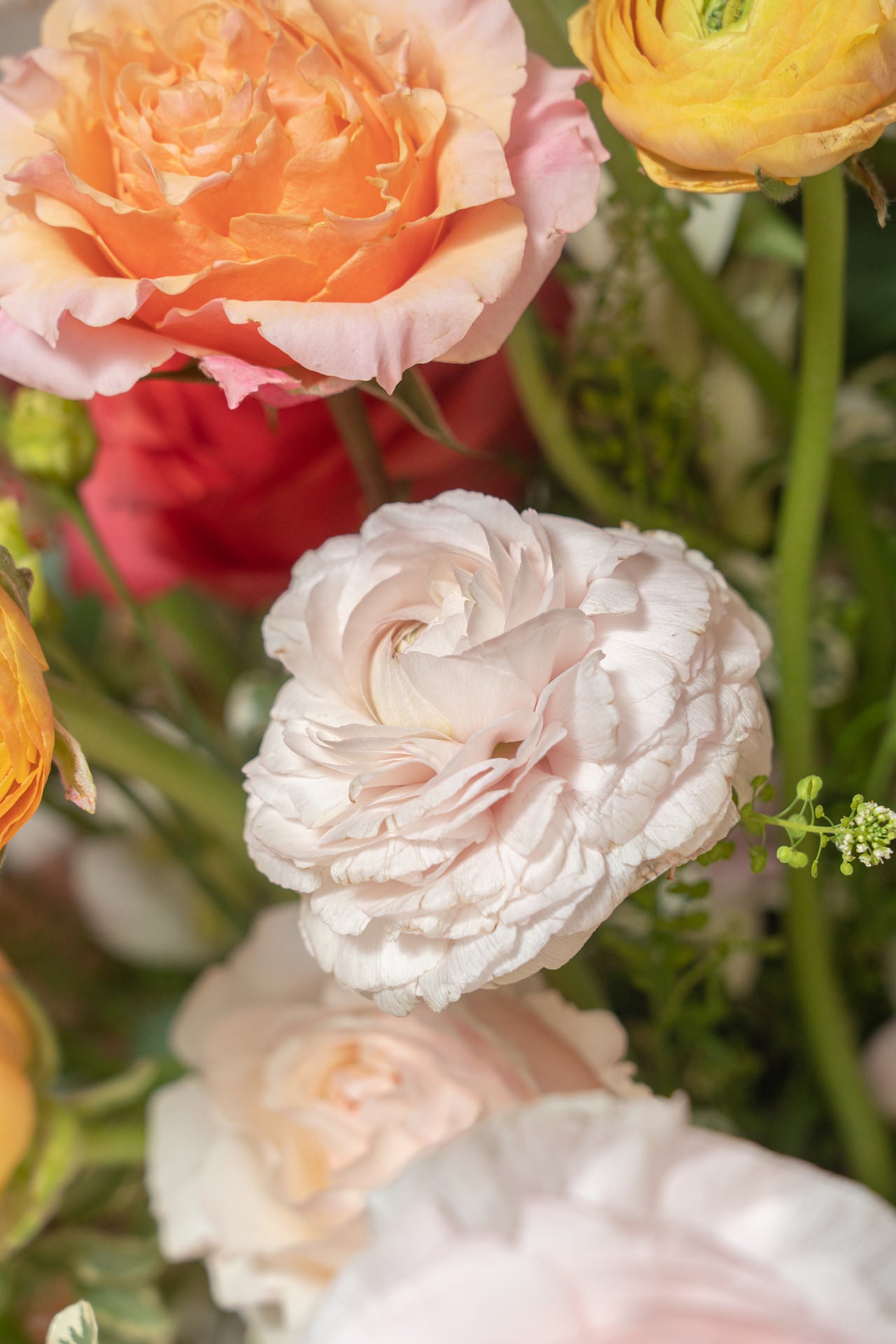 Jarra Especial día de la Madre 6