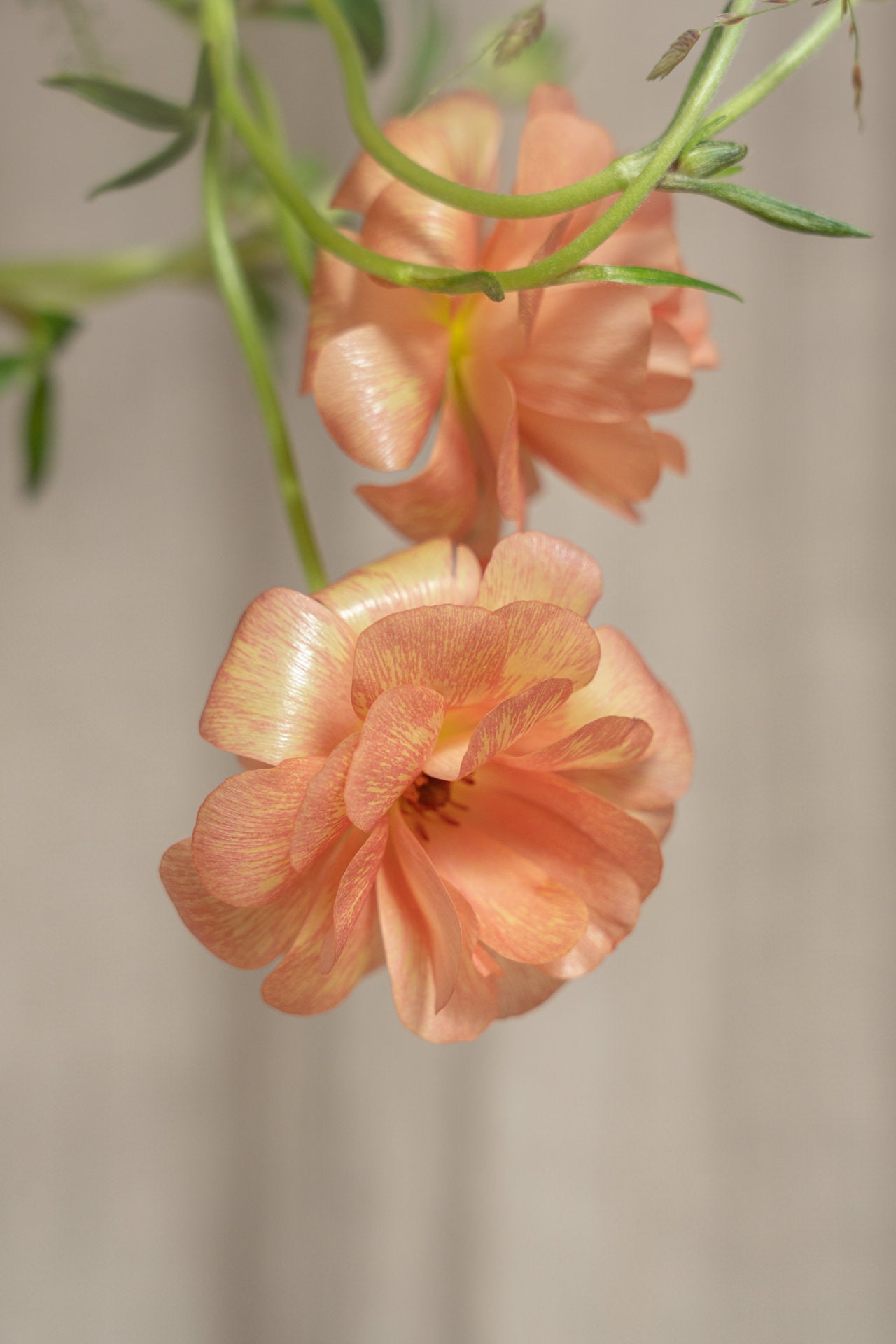 Jarrón Cerámico con flores Especial Día de la Madre 4