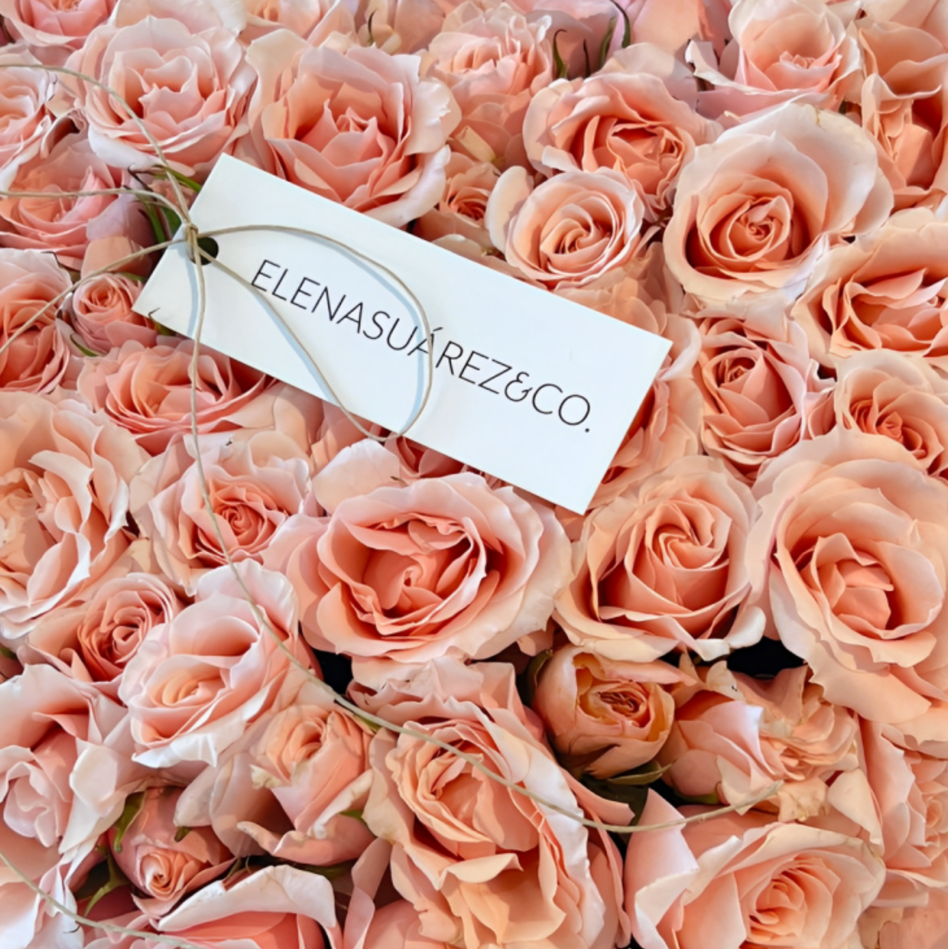 Mariposa de flores 9