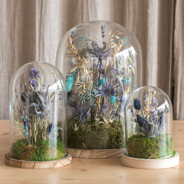 Fanal Flores Preservadas 2