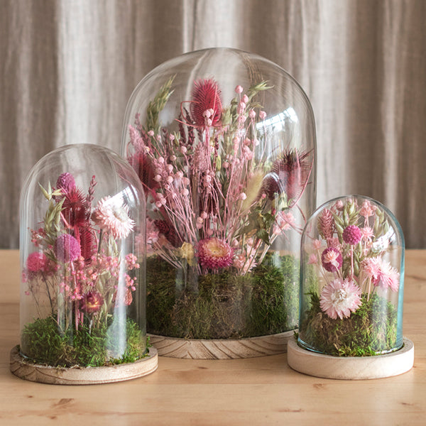 Fanal Flores Preservadas